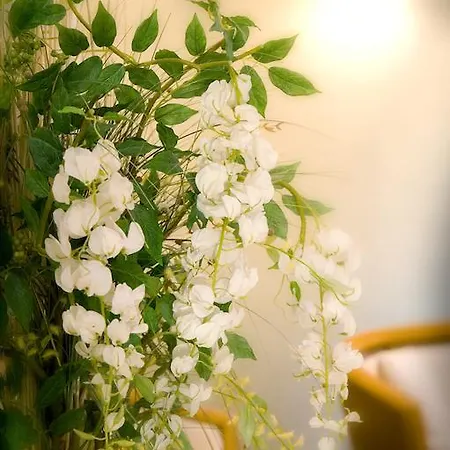 Hotel Milano Boario Terme